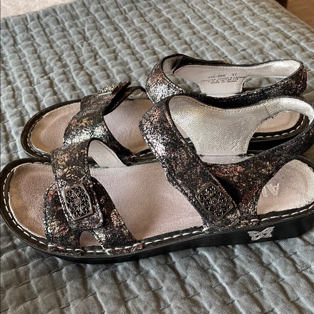 Alegria Multicolor women’s sandals